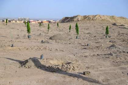 کاشت نهال به نام متولدین ۱۴۰۲ در قم انجام می‌شود